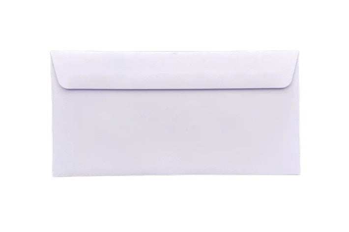 20pcs Business Mailing Plain DLE Envelopes 110 X 220MM (PAPER)