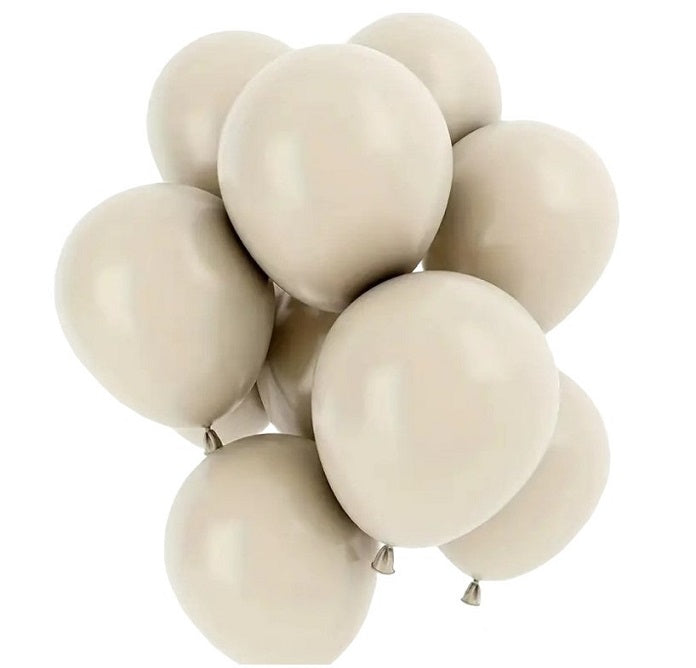 Party Matte Balloons 100 Pack 25Cm