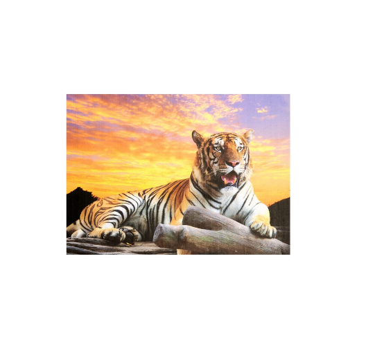 Crown Tiger At Sunset 1000pc Puzzle