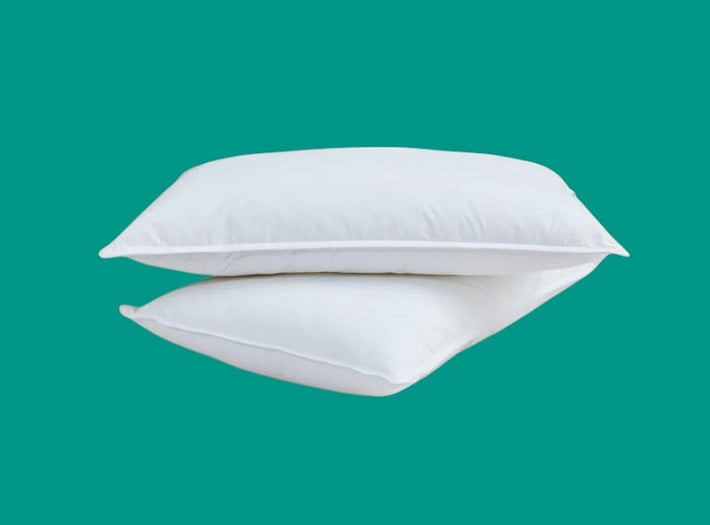 Dream Science Polyester Twin Pack Pillows