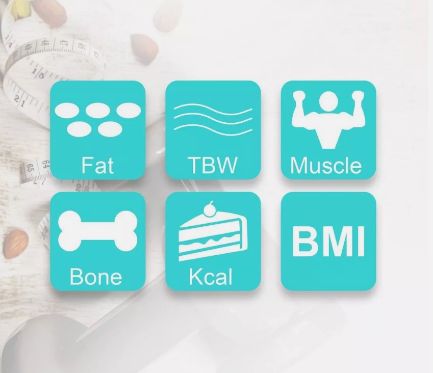 Fit Smart Electronic Floor Body Scale