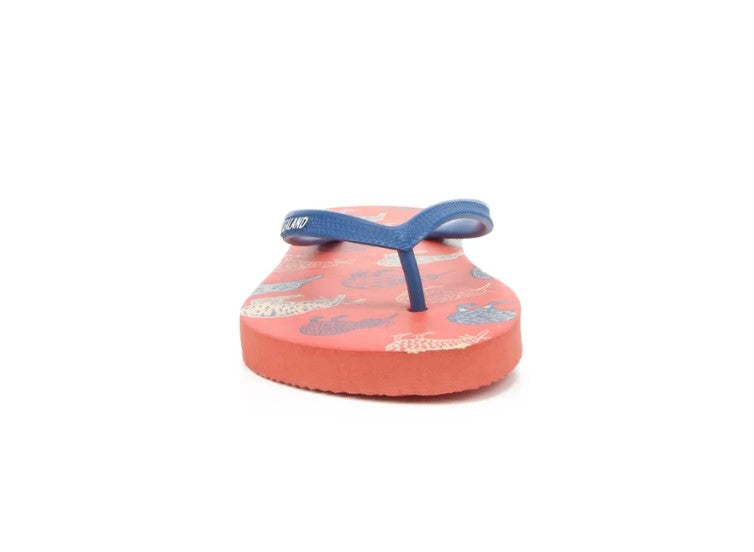 Kiwi Sketch Jandals (TANGERINE)