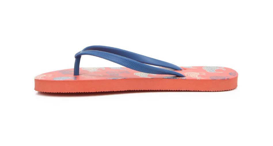 Kiwi Sketch Jandals (TANGERINE)