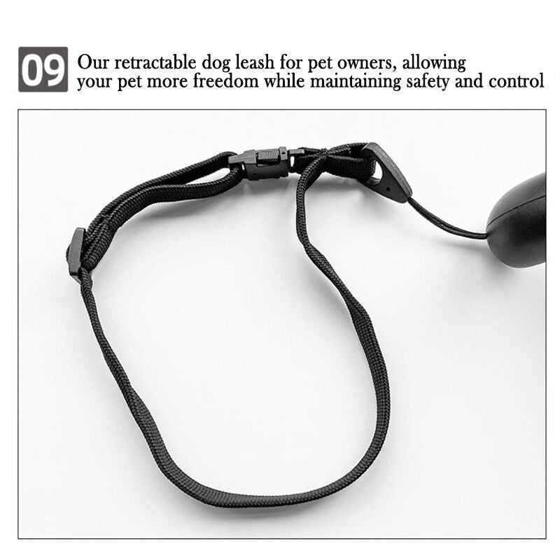 Retractable Lightweight LED Pet Leash - Medium/Large Dogs