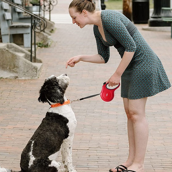 TwoEar: Retractable Dog Leash with Dispenser and Poop Bags - Red
