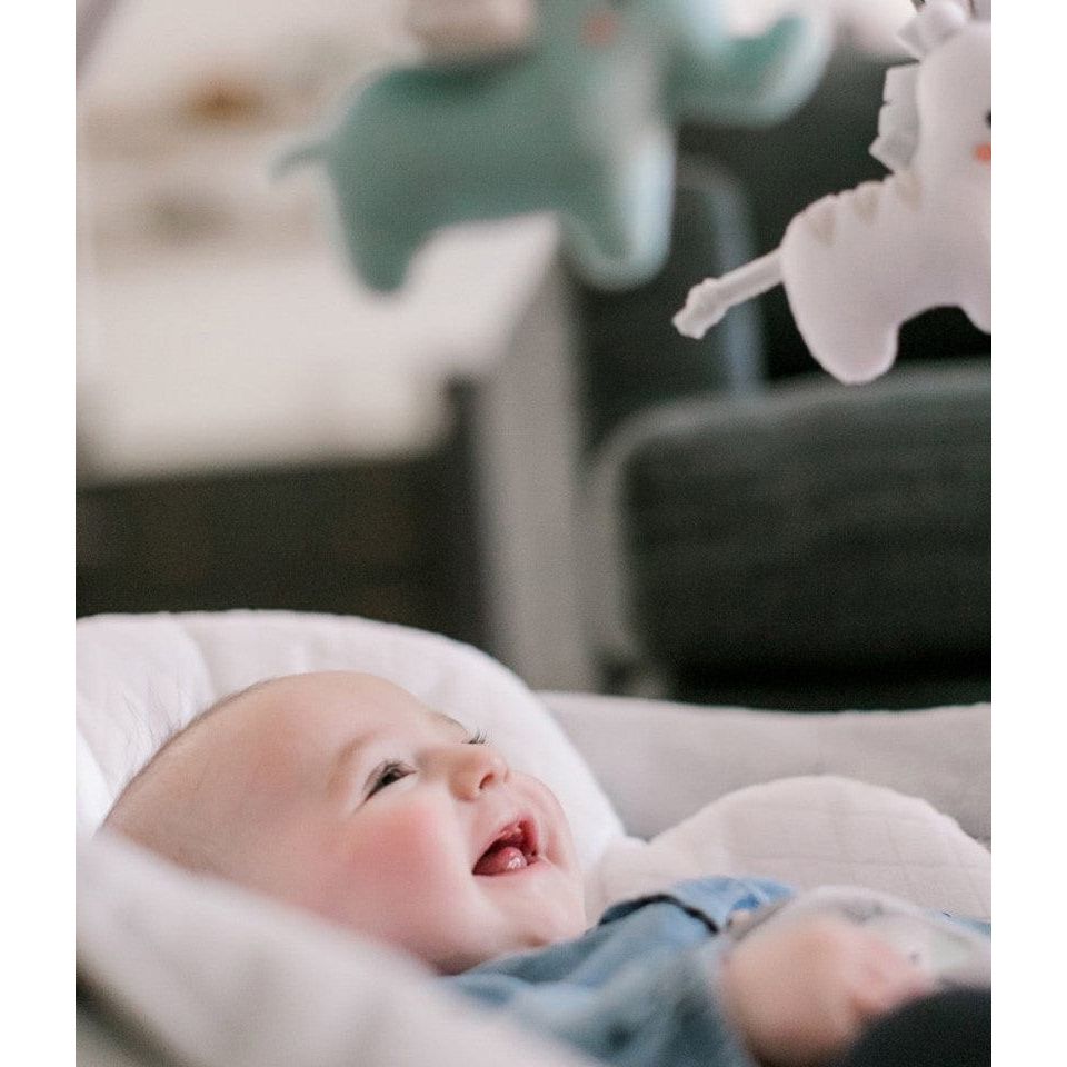 Local Kiwi Deals Baby Gears Ingenuity Smartbounce Automatic Bouncer - Chadwick