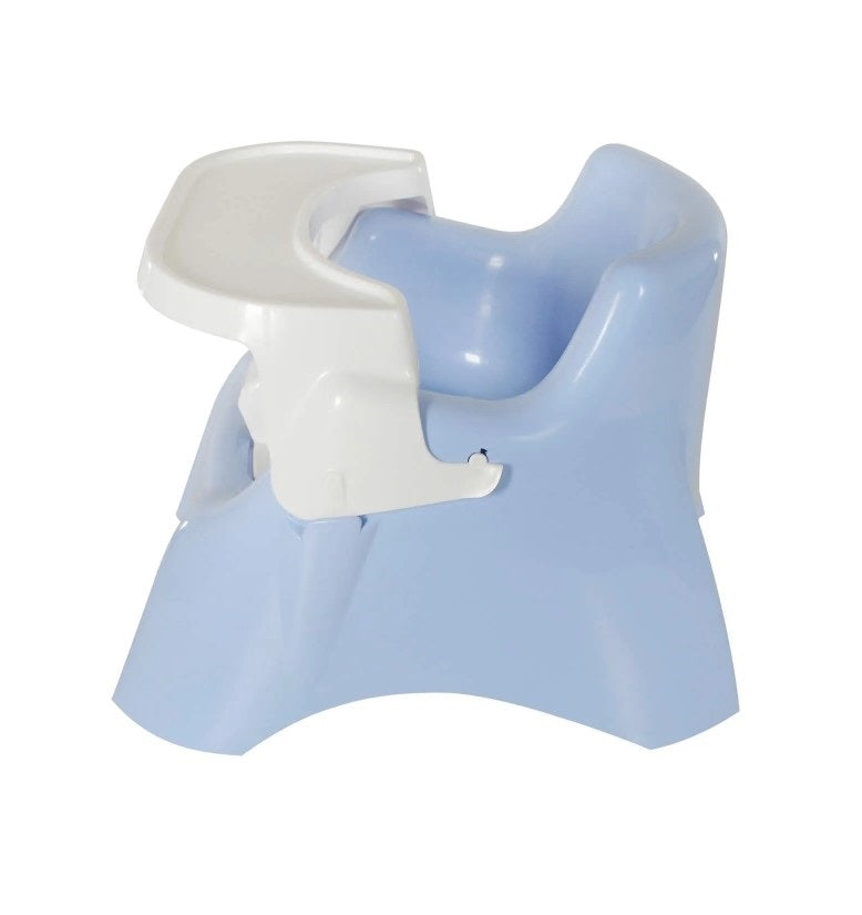 Clearance: Roger Armstrong: Toilet Training Potty Chair
